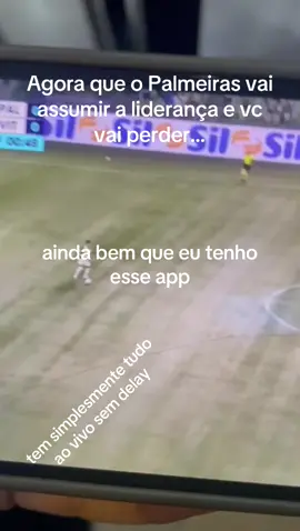 Porco vai assumir a liderança e vc vai perder… #futebolbrasileiro #flamengo #palmeiras #futebolaovivo #fluminense 