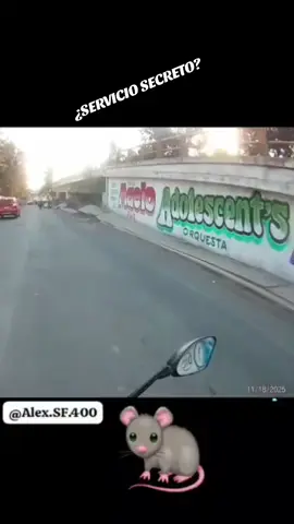 SACANDO PÁ LOS PULQUES #2025 #soychairo #mexico #corrupcion #policia