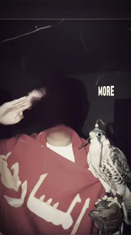 #بني_مسروح_بن_عامر311 #لايكات_الاكسبلور_متابعه #لايك__explore___ #لا_اله_الا_الله 