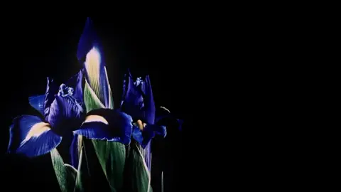 you know you're on mind . . . . -- mind over matter - young the giant #lyrics #çeviri #sozler #rebirthstars #fyp 