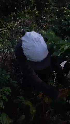 #activos24_7 🌎👣🫶 de 6:00am  a 6:00pm Asiendolo más que real 👻😇👊🏻#tarde ⏰✨#trabajoduro 👏🏻❣️#de6a6 🌚😚de mi Colombia 🇨🇴 #palmundo🌍 👣🫶