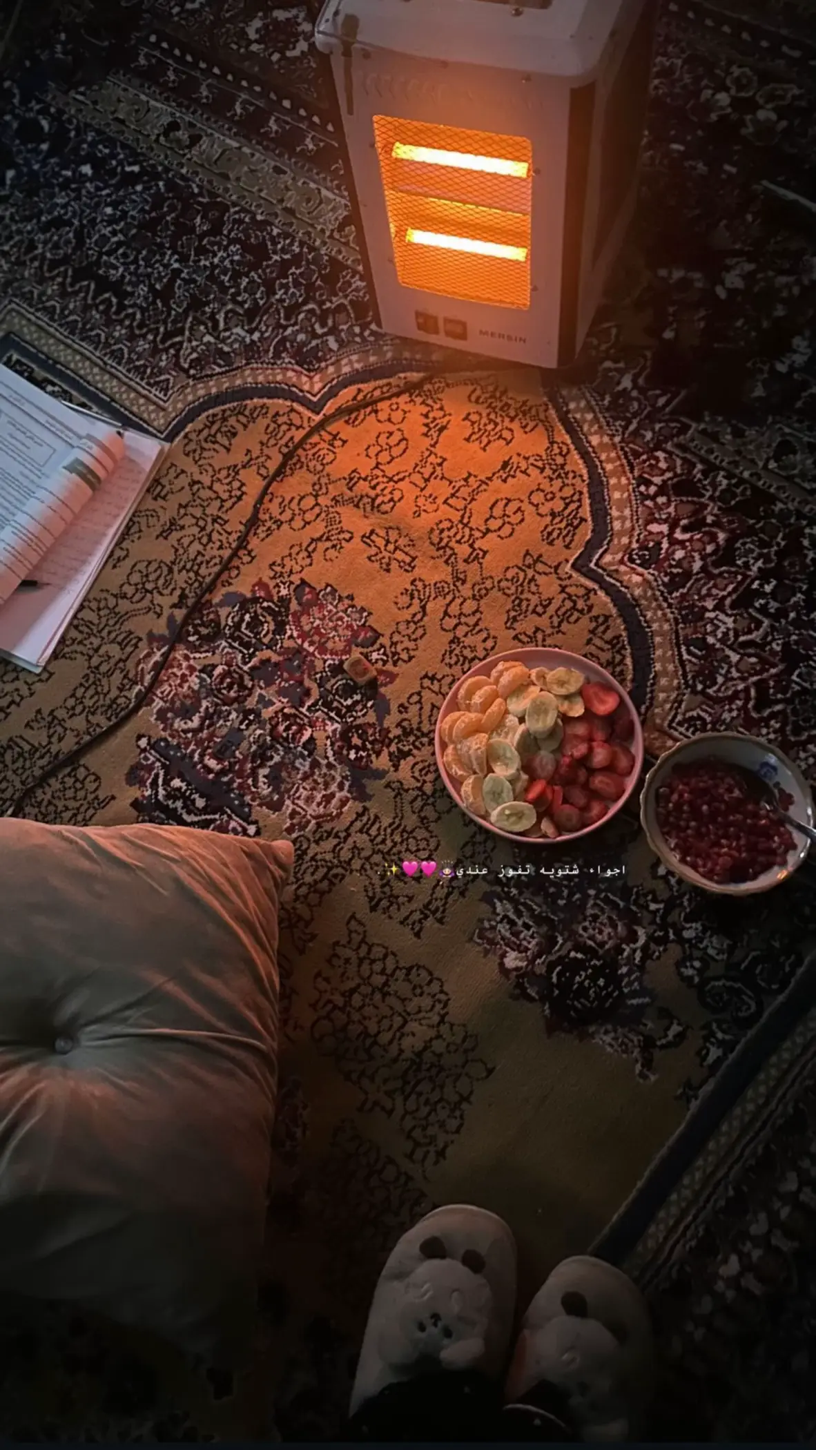 اجه الموسم الاغنيه تجنن🙈🩷✨✨✨. #صعدو_الفيديو #fyp #fypシ #الشعب_الصيني_ماله_حل😂😂 