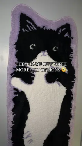 it’s so cute I don’t want to step on it so I nailed it to the wall. #catrug #tiktokshopblackfriday #blackfriday #flashsale #viral 