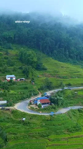 शुभ बिहानी 🙏🌄  #foryou #foryoupage #fypシ゚ #wangellama777 @Bijaya Limbu @Usha 