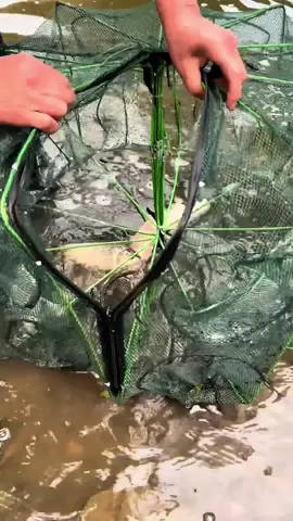 ตาข่ายดักปลา#ดักกุ้ง #ดักปลา #อุปกรณ์ตกปลา #ไซพับดักปลา #ตาข่ายดักปลา 