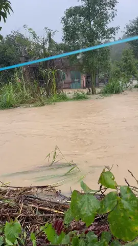 Mưa lũ tại EaNgah, Tam Giang (Cưklong cũ), ĐakLak. #fyp #xuhuong #mưa 