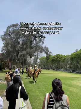 #parati #facto #feliz #dia #hombre 