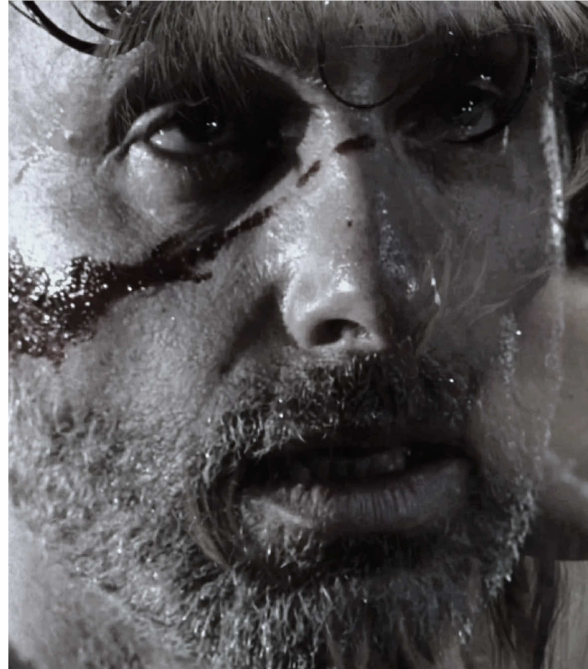 #SHAUNANAT hopefully i will reach twd fans…hopefully… - @soph ꨄ︎ @zee ♱ @aouadfilmz @may ౨ৎ @hopey ⊹ ࣪ ˖ || #rickgrimes #thewalkingdead #yellowjackets #fyp 