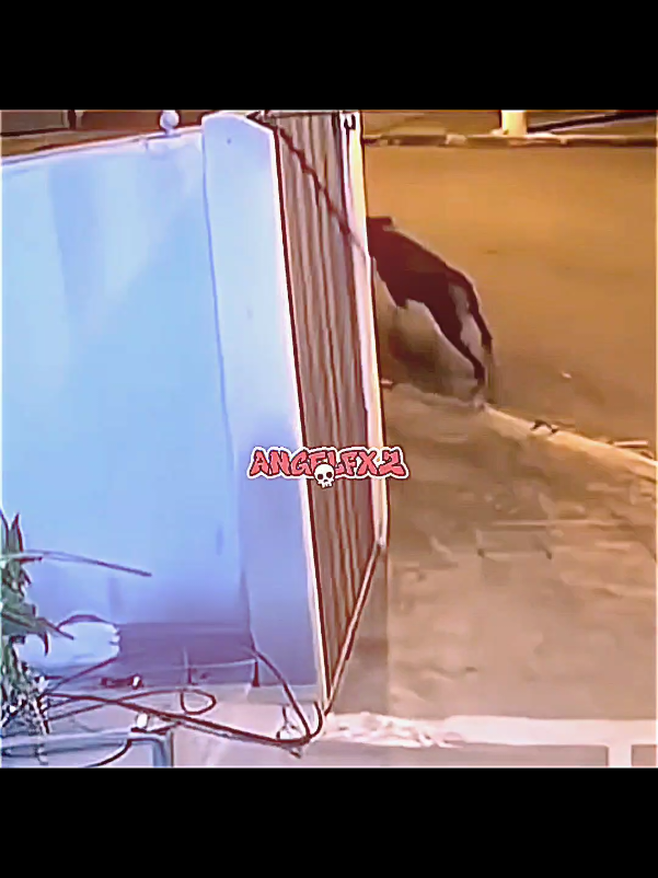 FinalDog!!💜 [cc:2000squeef,sharpen:me,ac:pedwroaudios] . . #finaldiva #finalgirledit #diva #finalgirl #lipgloss #edits #aesthetics #aestheticedits #finalgirledits #finalgirleditstyle #divaedits #finaldog #dogs #dog #funnydogs #ai #ia #funny #funnyedits 