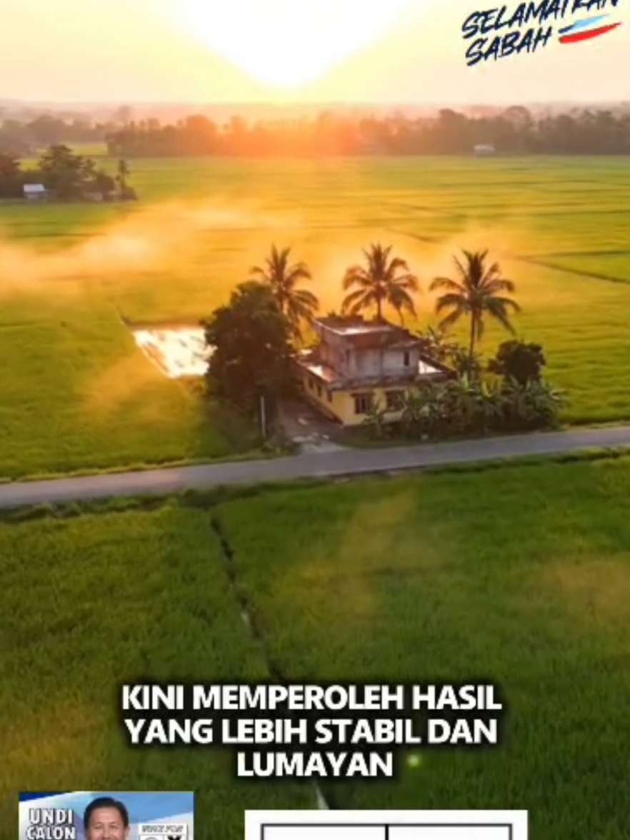 Roger Roy Valentine Amandus bukan sekadar janji, tapi aksi nyata! Dari ahli migas 38 tahun, kini turun tangan memajukan sawah padi Limbahau dan Novong. Beliau membuktikan perubahan itu BOLEH DILAKSANAKAN! ✅ Pemulihan padi berskala besar. ✅ Memperkenalkan teknologi drone (2023). ✅ Hasil tani yang lebih stabil. ✅ Berjuang untuk hak rakyat Sabah. 👉 Bukan hanya cakap, tapi bekerja. Undi Calon No.6 (X) untuk N.27 Limbahau! #fyp #warisan  #selamatkansabah #pilihanrakyat  #paparian  @Himba'au Roger Amandus @Warisan Dun Limbahau @MAWAR Channel 