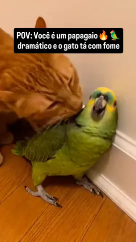 🚨 IMAGENS FORTES de um 