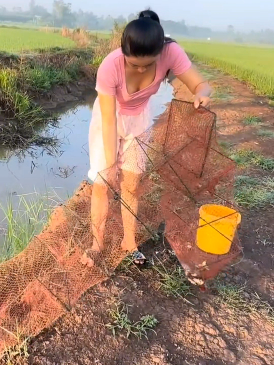 Bẫy 12 cửa ngục trúng cá rô đồng ngon nè! #gaiquemientay #gaithonque #batcamientay #thonnumientay #gaique 