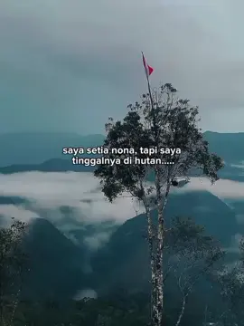 4.884 Mdpl Puncak jaya Papua