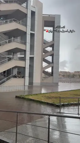 #رامي_صبري #جامعه_دمياط #دمياط #ramysabry #جامعة 