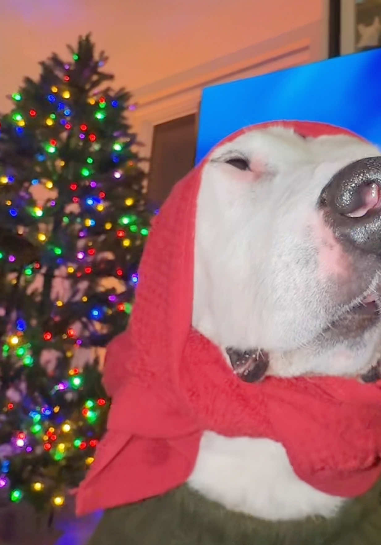 ніколи не припиняйте боротися #україна🇺🇦 #українськийтікток 