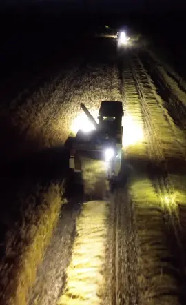 ฤดูกาลเกี่ยวข้าว #ฤดูกาลรถเกี่ยว 