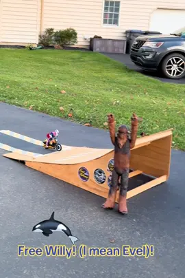 Free Willy and Evel!! #evelknievel #evel #michaeljackson #freewilly #toys this toy is so much fun. It also brings back a lot of great childhood memories from the 1970s and 1980s. Just a big goofy kid at heart ha ha. Thanks Jordan for helping and my wife filming!! It’s a family affair🤩🤩🤩