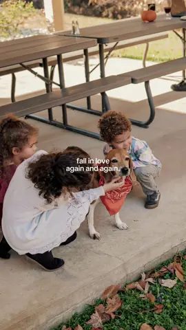 🍂🧡  From my very first transactions to the moments we shared at this year's Client Appreciation Event... this journey has been one beautiful evolution. Every home. Every handshake. Every smile. Every story. Thank you for trusting me through all the seasons of your life. Here's to falling in love with the process again and again. #RVARealtor #ClientAppreciation #RealEstateJourney #mosellshomes #FallInLoveAgain  