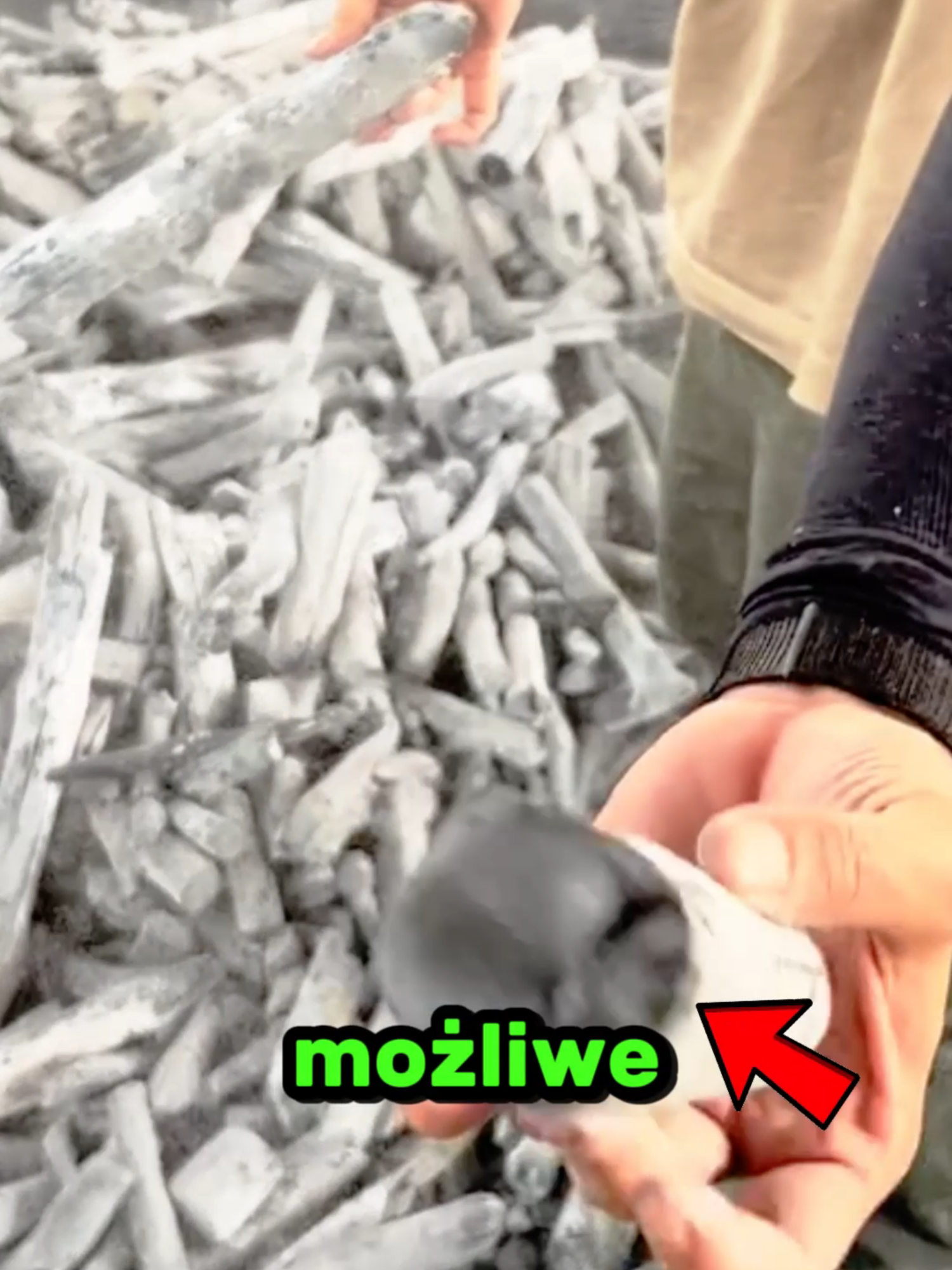 Drewno twardsze niż Metal?! 😂🌲🔩