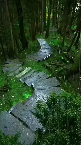 #🎙 # احب الصالحين#🔊 #😔 #☝🏻 #🏴 