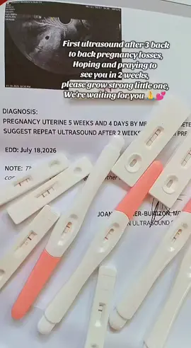 First ultrasound after 3 back to back pregnancy losses, Hoping and praying to see you in 2 weeks, please grow strong little one, We're waiting for you 🙏💕  #pregnancy #highriskpregnancy #bleedingwhilepregnant #prenancyjourney #pregnant 