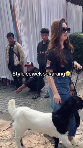 Nuntun wedus siap mambu prengus #kambingseni #konteskambing #kambingseniindonesia #peternakcantik #semangatterus 