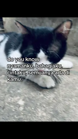 #bucinstory #foryoupage #xyzbca #fyp 