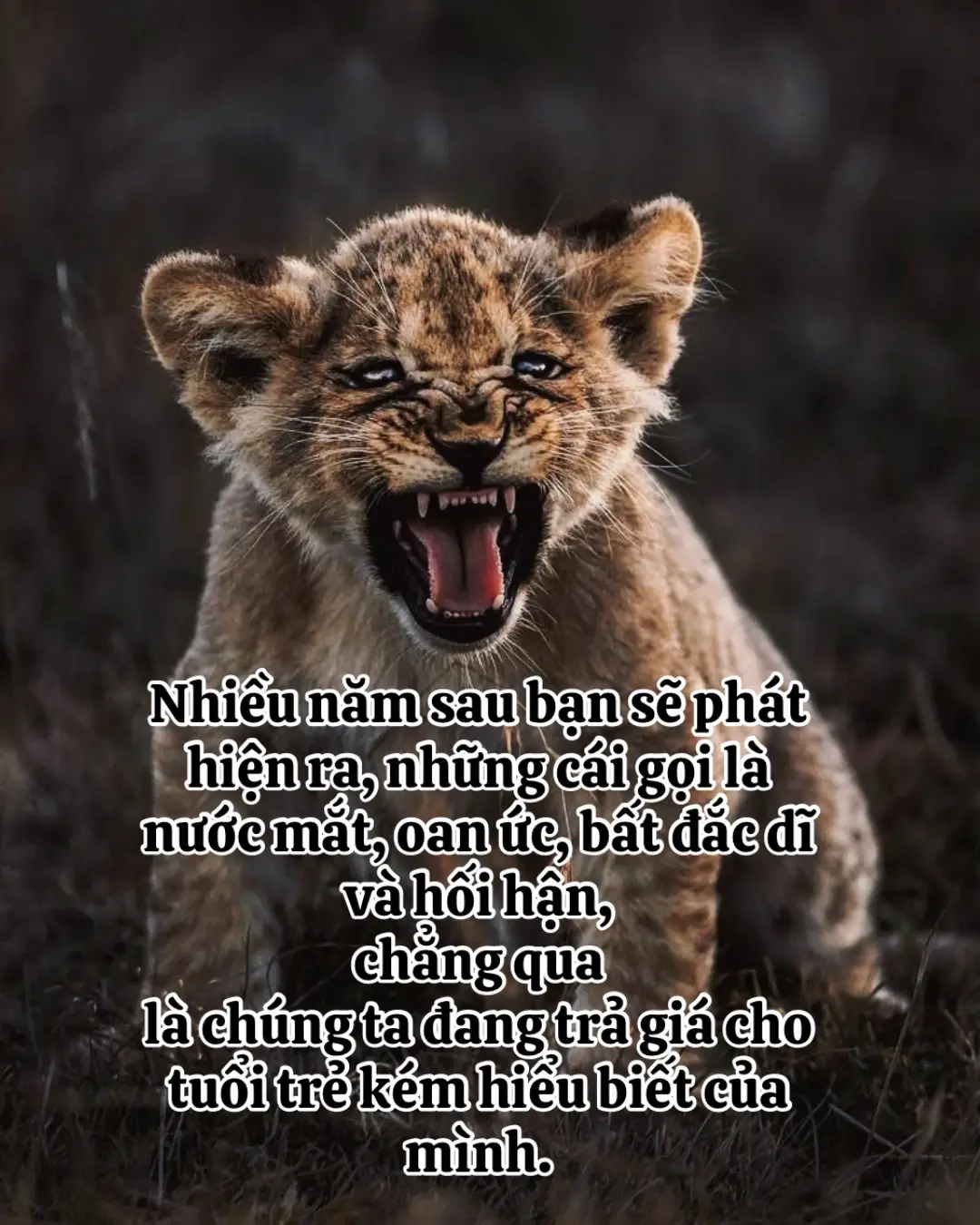 Nhiều năm sau bạn sẽ phát hiện ra, những cái gọi là nước mắt, oan ức, bất đắc dĩ và hối hận, chẳng qua là chúng ta đang trả giá cho tuổi trẻ kém hiểu biết của mình. #trietlycuocsong #phatphapnhiemmau #thanhcong #xh #stt 