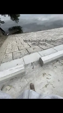 #xuhuong #fyp #viral 