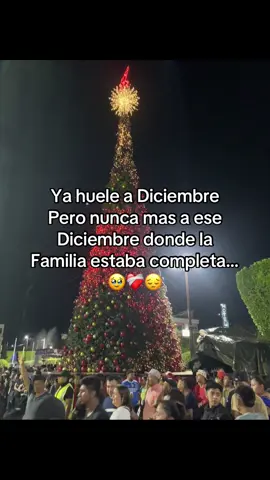 ❤️‍🩹#Navidad#Familia#viraltiktok