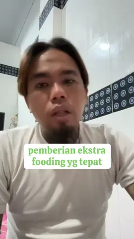 pemberian ekstra pooding #antonimartadipura #antonipjfmedan #antonipjf #pjftanyajawab #putrajayafarm 