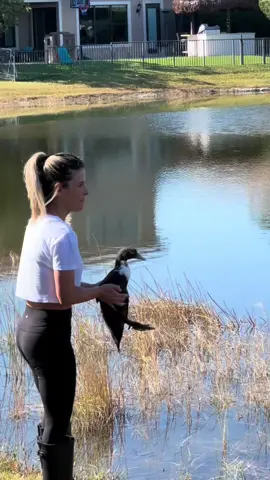 WHAT DA DUCK 😒🦆 #funny #FYP #cuteanimals 