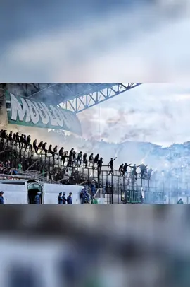 #mobejaia🖤💚♓ #bejaia06_la_kabyle💪♓❤️ #mobejaia #الموب #fy 