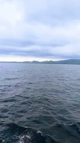 info cuaca 🥱😴 #lagumelayuterbaikhits💕 #minangpatah💃🏻💃🏻💃🏻 #lagujogetambonremix #ambonpride🏝🔥 #fyppppppppppppppppppppppp 