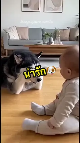 เล่นกับน้องได้น่ารักมาก🐶❤️#คลิปน้องหมาน่ารัก #คลิปหมาตลกๆ #คลิปตลกฮาๆ #คลิปหมา