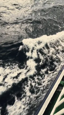 Walaupun cuman bawa amplan 🤣 #pelautpunyacerita #pulangkampung #mentahanvideo #kmprincesoya #samarinda 