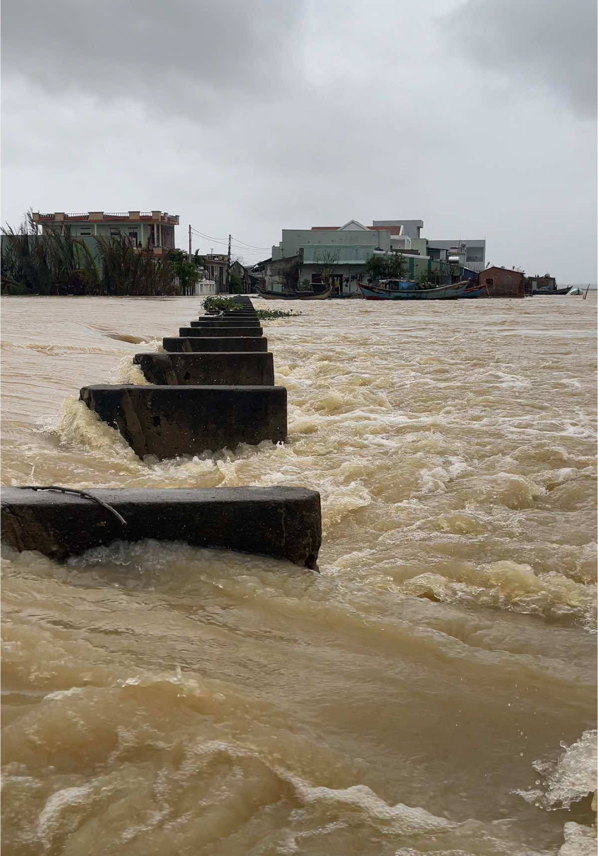 Tuy Phước Đông, Gia Lai sáng nay 20/11 #creatorsearchinsights#mualu #mualumientrung #lulut 