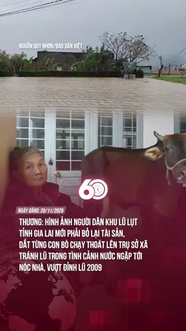 BÀ CON PHẢI DẮT BÒ LÊN TRỤ SỞ XÃ ĐỂ TRÁNH VÌ NƯỚC NGẬP QUÁ SÂU #60giay #theanh28 #tiktoknews 