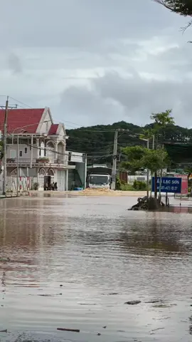 đơn Dương sau một đêm giông bão #câu lạc Sơn kado #lamdong 