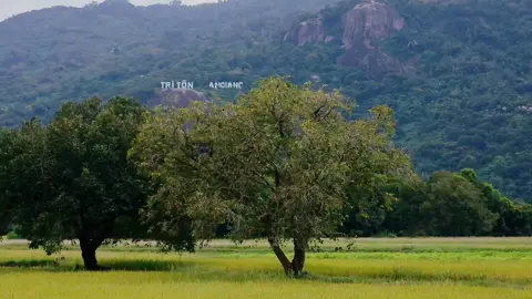 nay gió lạnh lạnh nhớ nhà nữa ròi #triton #angiang #xuhuong #canhdep #mientay 