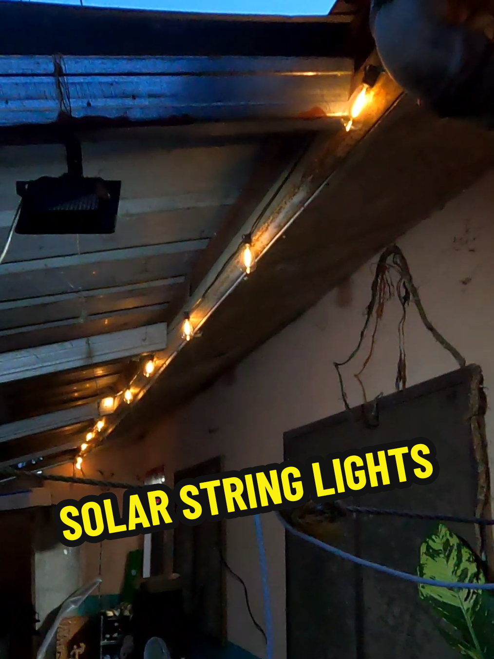 SOLAR STRING LIGHTS 
