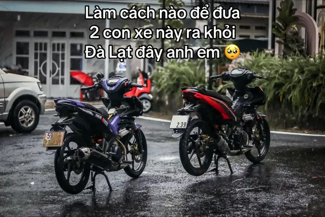 Xin tip thông chốt ạ 🥹 #dalat2025 #fyp #muabuon 