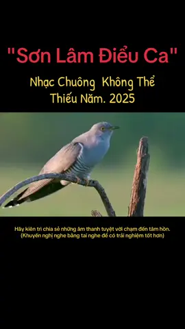 Nhạc chuông hot nhất 2025 #nhacchuong #nguamlieuphap #music #ringtone #nhachay 