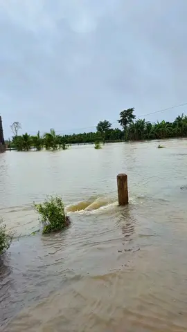 #CapCut mưa lụt hết rồi #fyp #daklak 