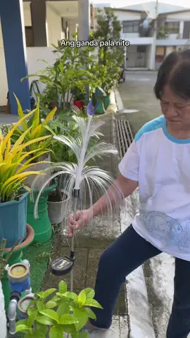 Ang ganda talaga niya #christmasdecor #jellyfishlights #solarchristmaslights 