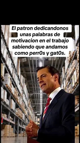 😒🤣🤨 NO DIGAS MEMADAS JEFE #CapCut #fyp #foryoupage #fypシ #tiktok 