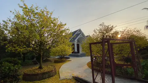 #tết2026 nhớ nhà quó