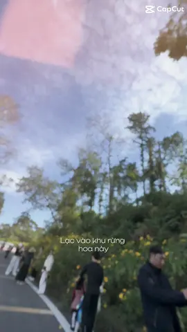 Cuối tuần đi đâu nhỉ #hoadaquy #bavi 