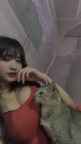 #tiktokuni #fyp #မလှလဲကြည့်ကွာ😞🤟🧡 #၂ခါအကိုက်ခံရ😑