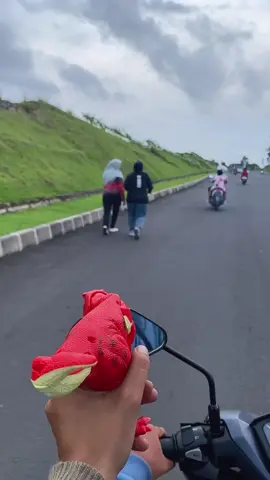 Dino sha sha shaa😂 #dinosaur #mainananak #foryou 